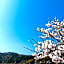 Japanese style hotel and dining Morigen, Kyoto by the sea