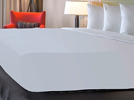 Suite One Bed