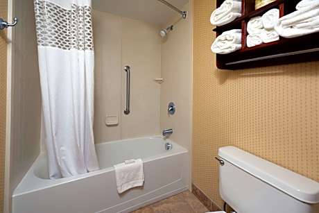 1 King 1 Bdrm Suite W/Sofabed Nonsmoking