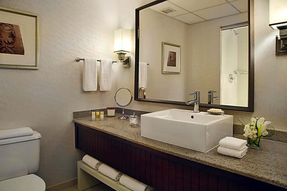 Hyatt Regency St Louis at The Arch