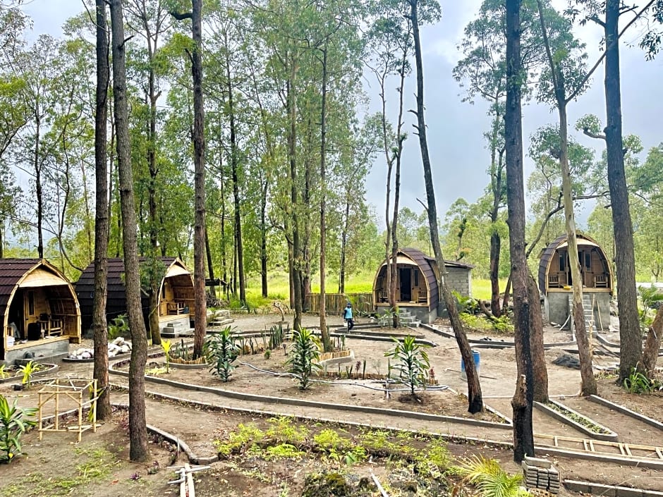 Bamboo Austin Mountbatur