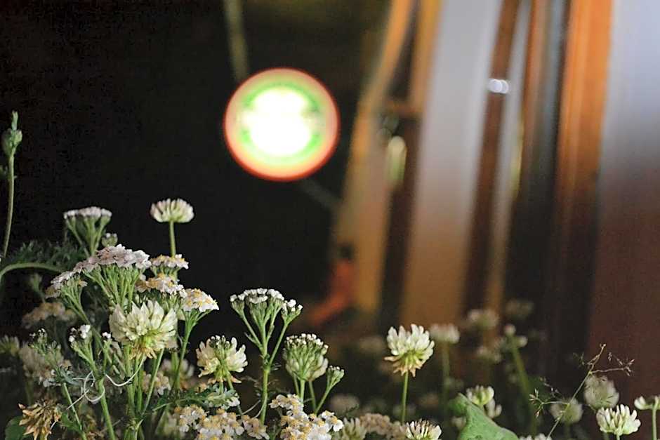 Hosteria y Restaurante America