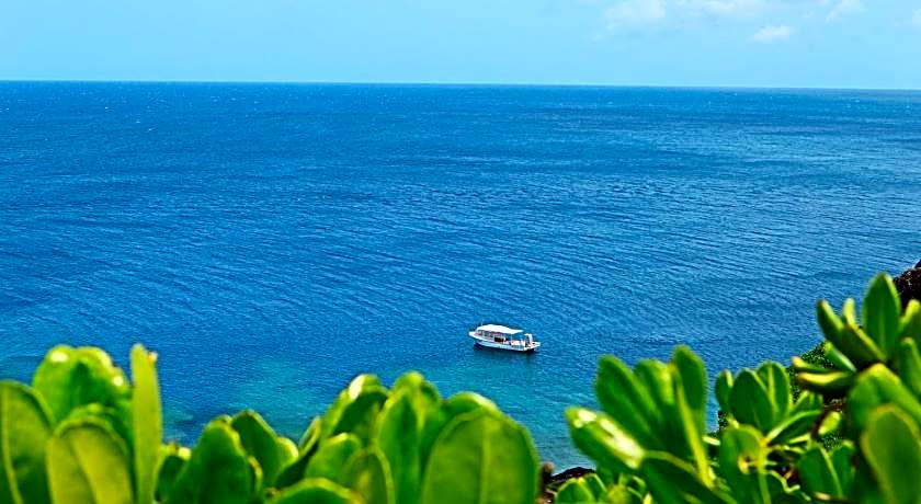 Little Mermaid Hotel Ishigakijima