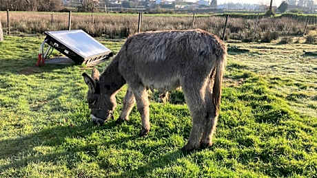 Casa da Avó Miquinhas