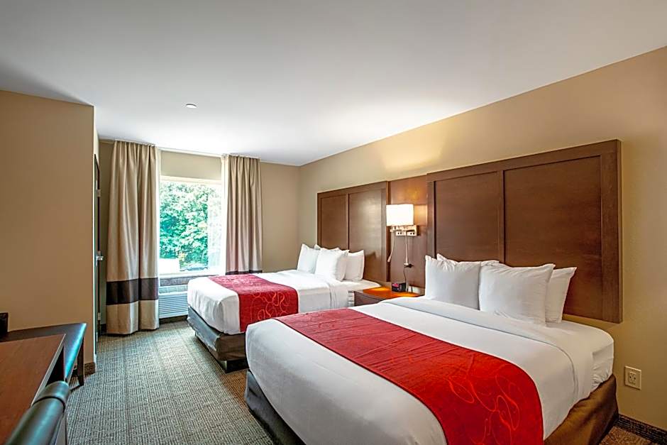 Photo 1 of 5 of 2 Queen Beds Suite, Accessible
