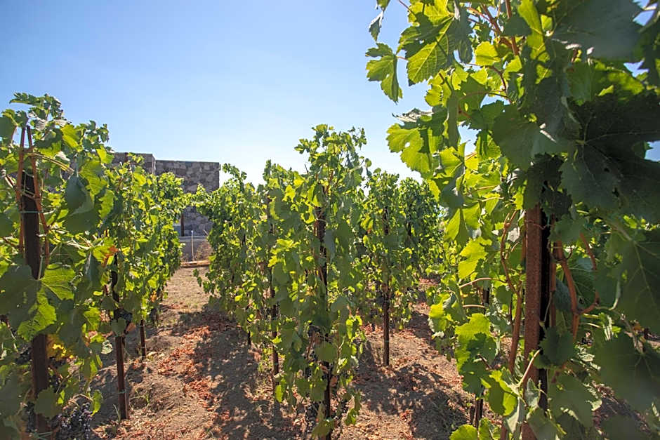 Tenuta di Castellaro Winery & Resort