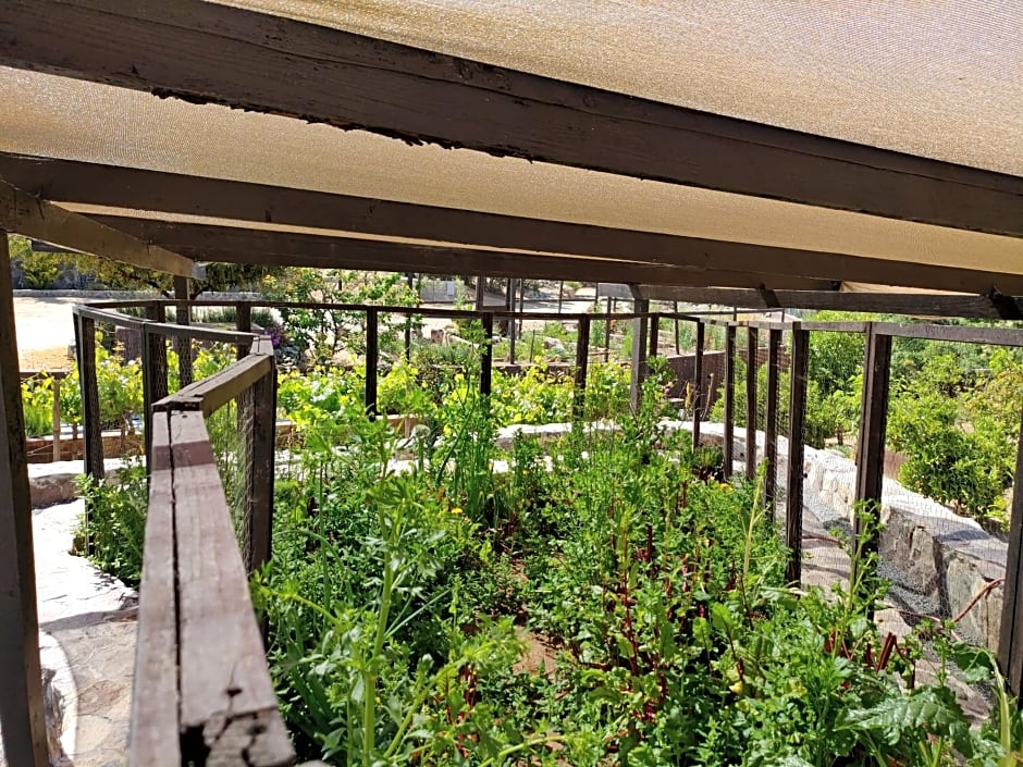 Hacienda Eco-Domes
