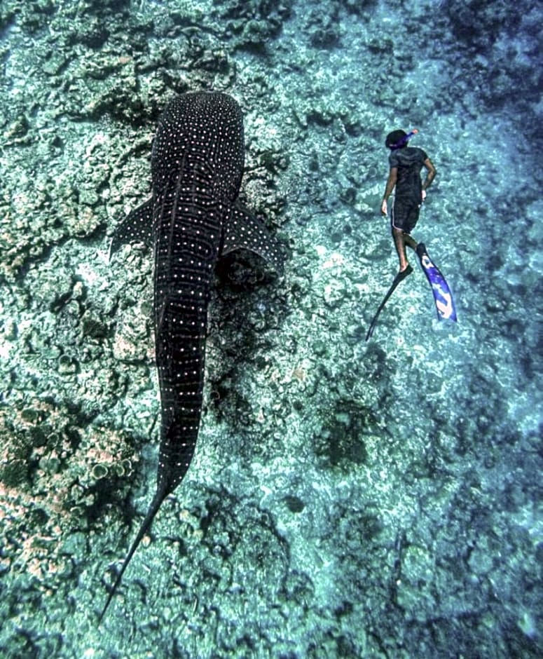 Raalhu Fonu Maldives