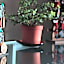 Hotel Casa Colon
