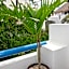 Pelicano Inn Playa del Carmen - Beachfront Hotel