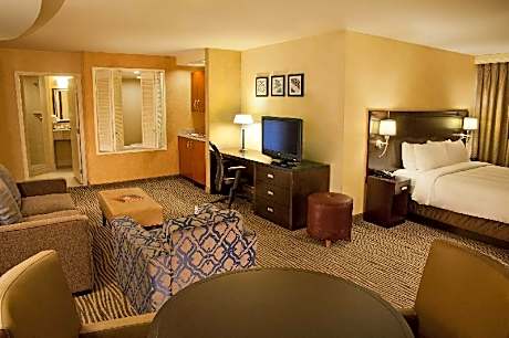 Executive Suite, Guest room, 1 King, Sofa bed