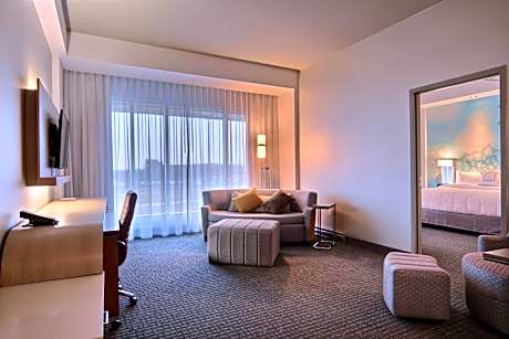 Executive One-Bedroom Suite