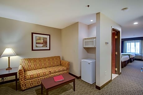 Accessible - Suite 2 Queen, Mobility Accessible, Bathtub, Shower Chair, Sofabed, Non-Smoking, Full Breakfast