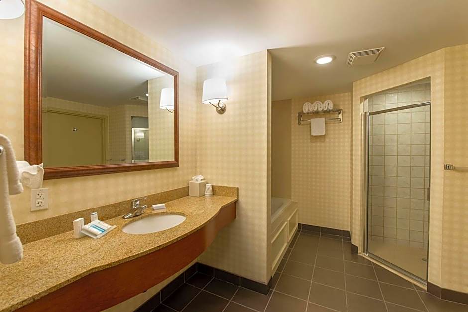 Hilton Garden Inn Manchester Downtown