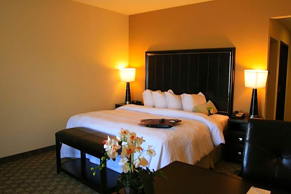 Hampton Inn By Hilton And Suites Mcalester