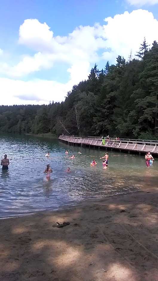 Ginto svetingi namai