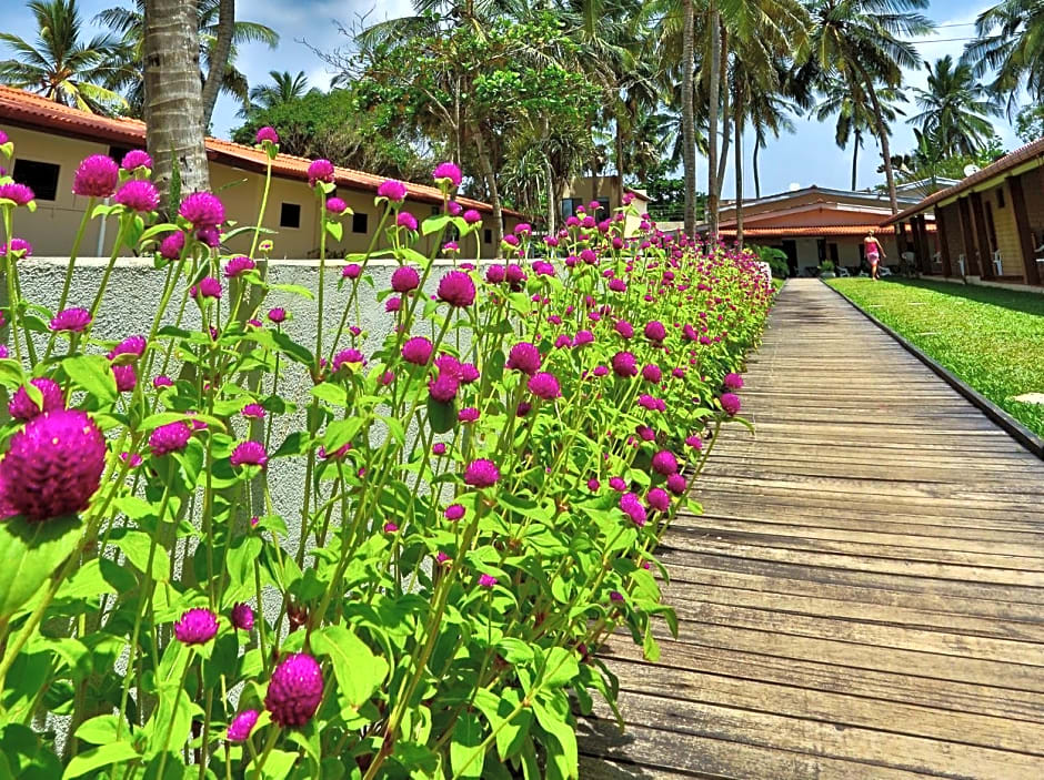 Amagi Beach - Secluded Slice of Paradise