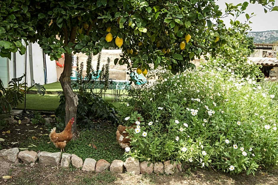 Sa Fita Backpackers - Albergue Juvenil