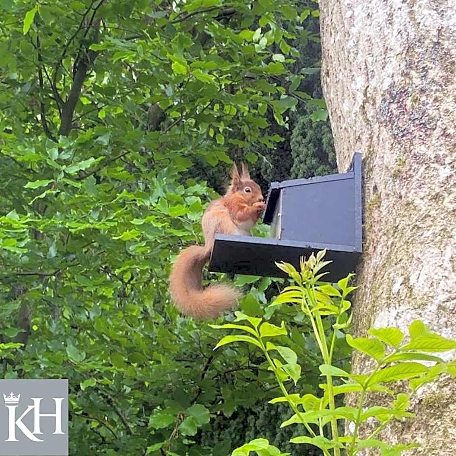 Kings Head - Riverside, Ravenstonedale