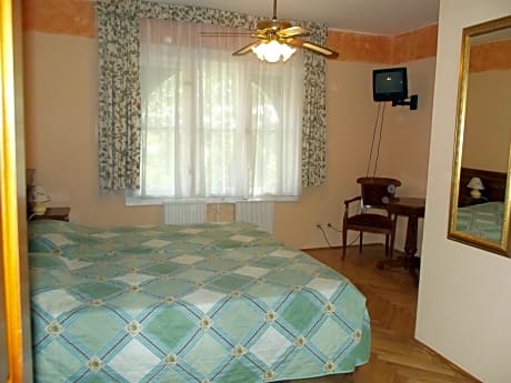 Economy Double or Twin Room with Garden View