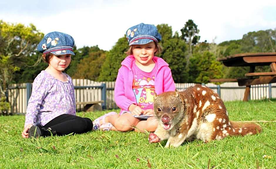 O'Reilly's Rainforest Retreat