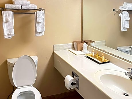 1 King Bed, Nonsmoking