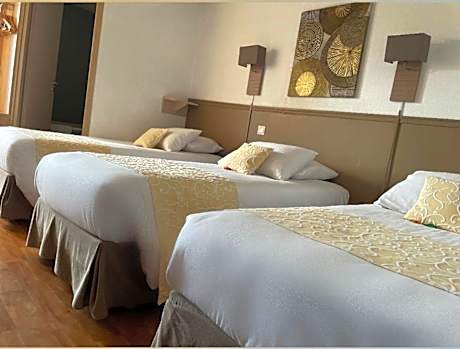 Triple Room (1 Double Bed + 1 Single Bed)