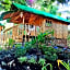 Moalboal Bamboo House / Rooms