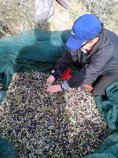 HELLAS PALACE ROOMS balcony