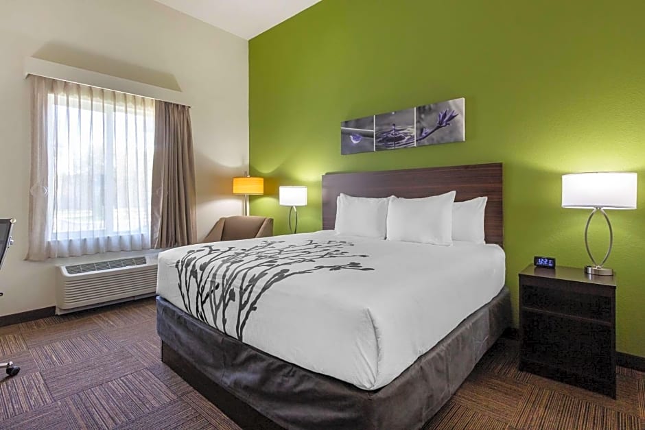 Sleep Inn & Suites Tampa South