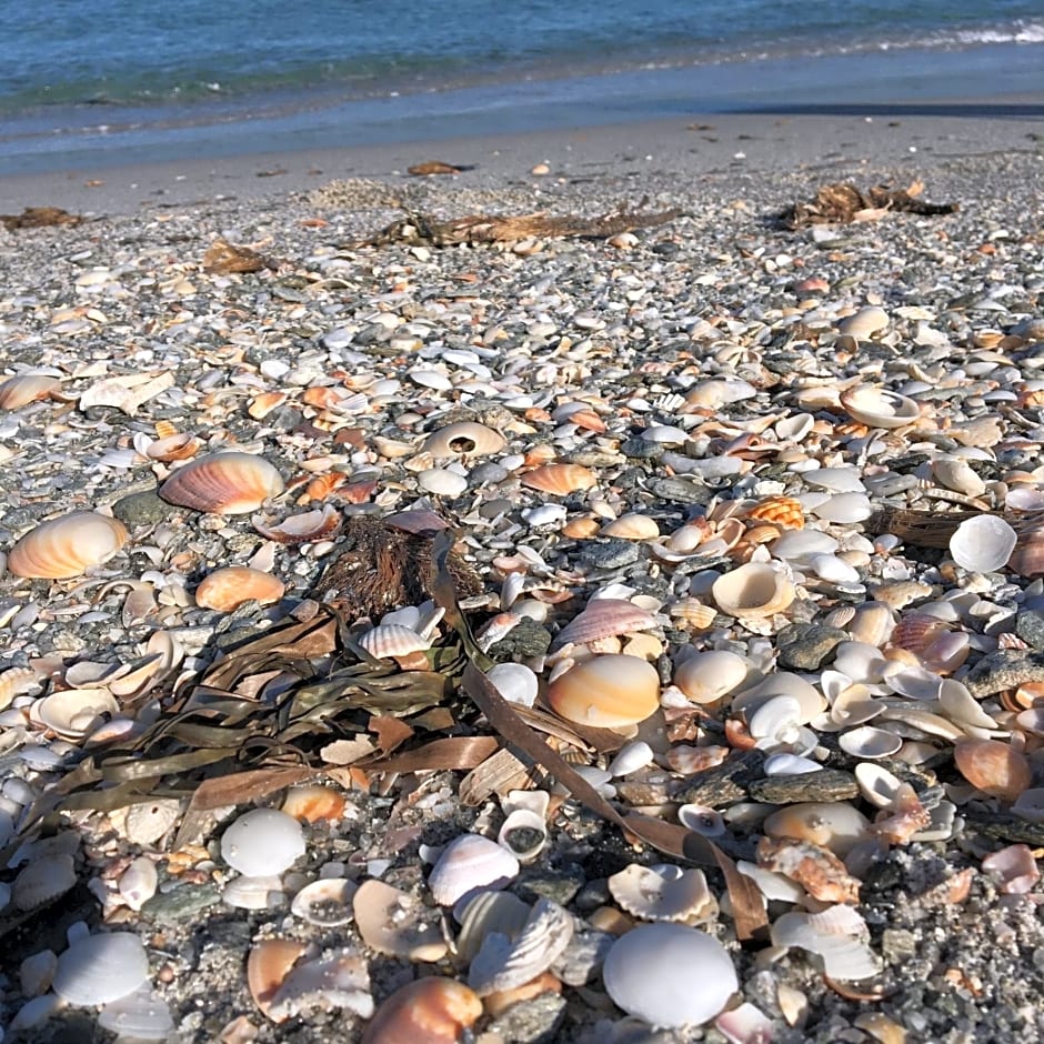 Camera vista mare, ingresso indipendente in" Villa VìVì"