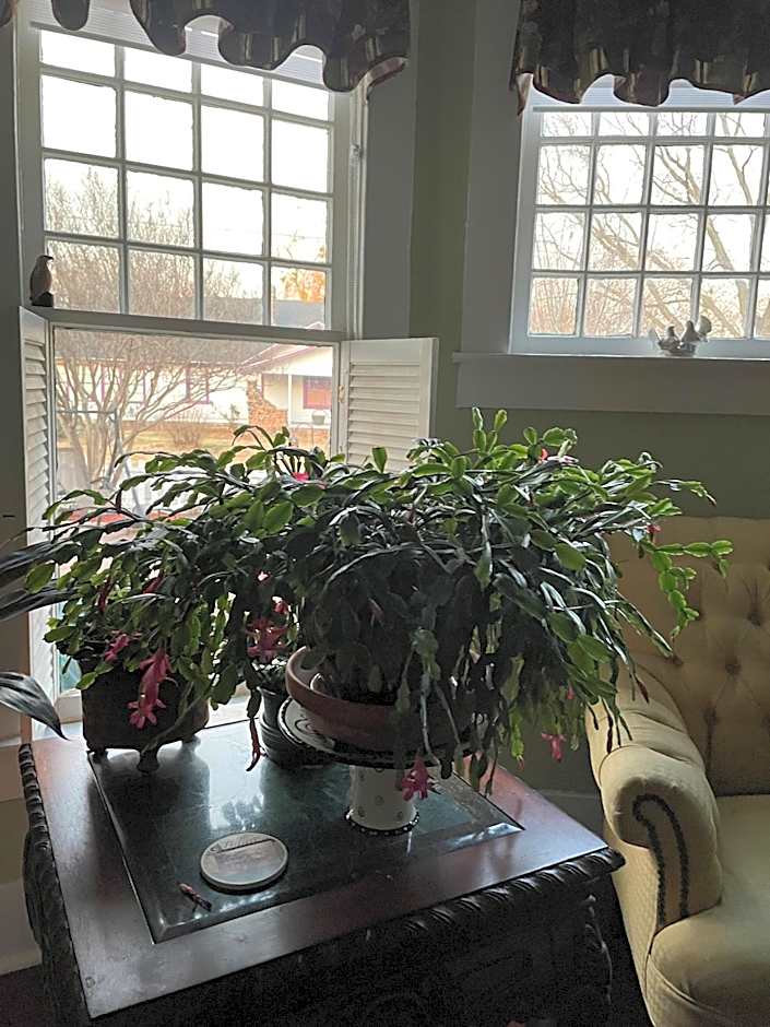 Granbury Gardens Bed and Breakfast