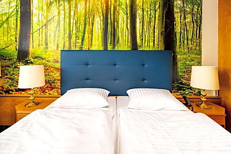 Panorama Double Room