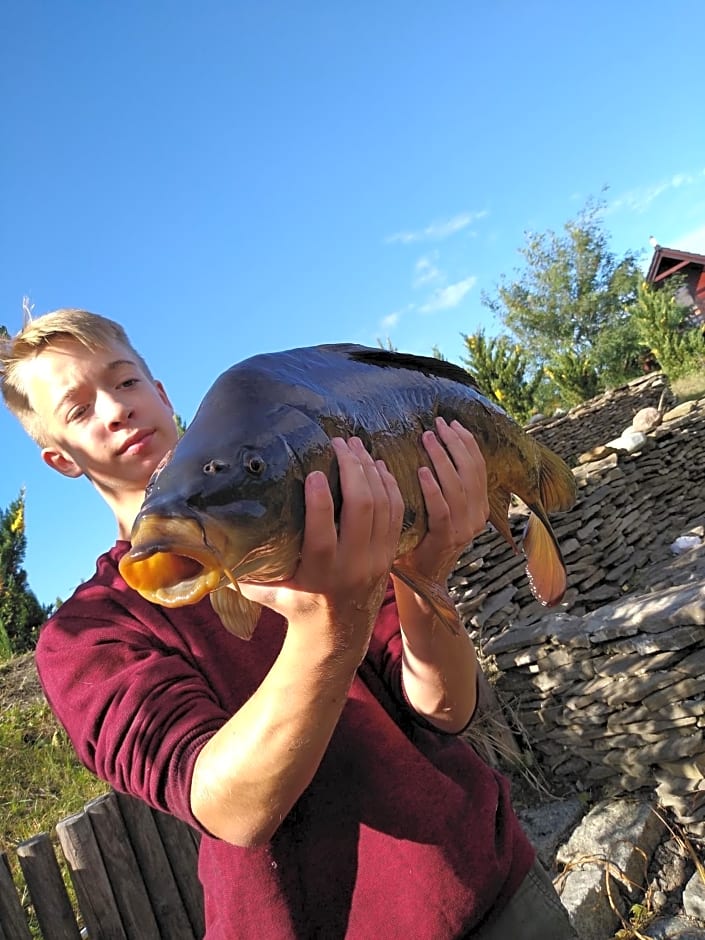 Domki całoroczne nad zalewem