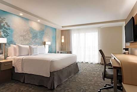 King Room with Sofa Bed - Hearing Accessible