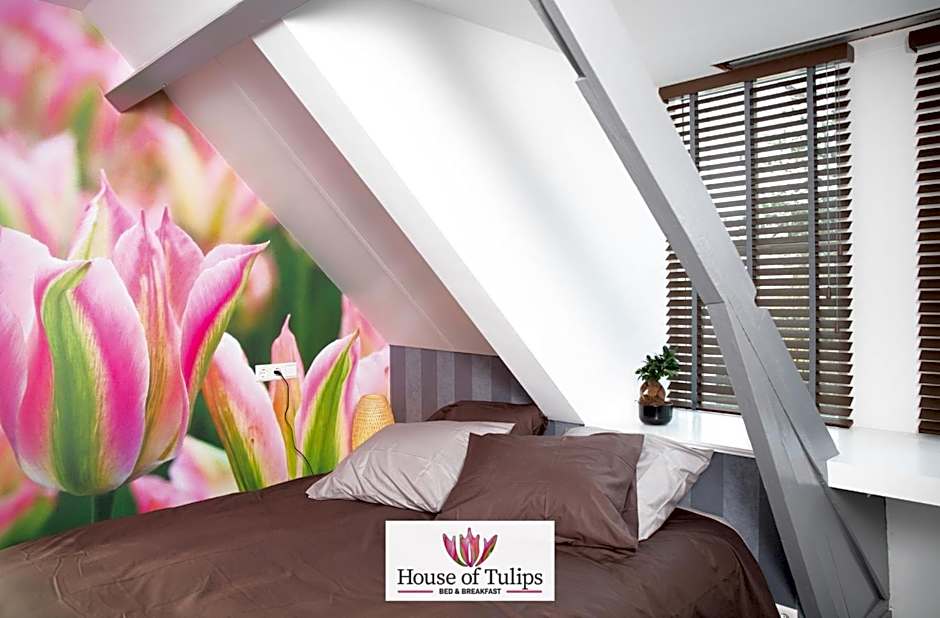 House of Tulips