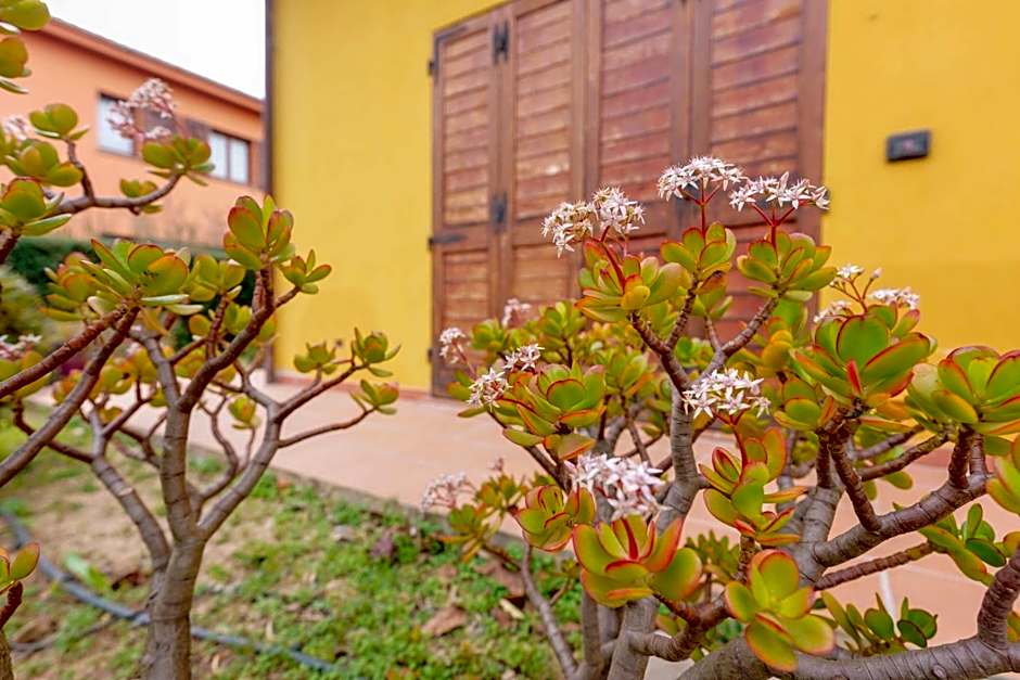 B&B Gassa d'Amante
