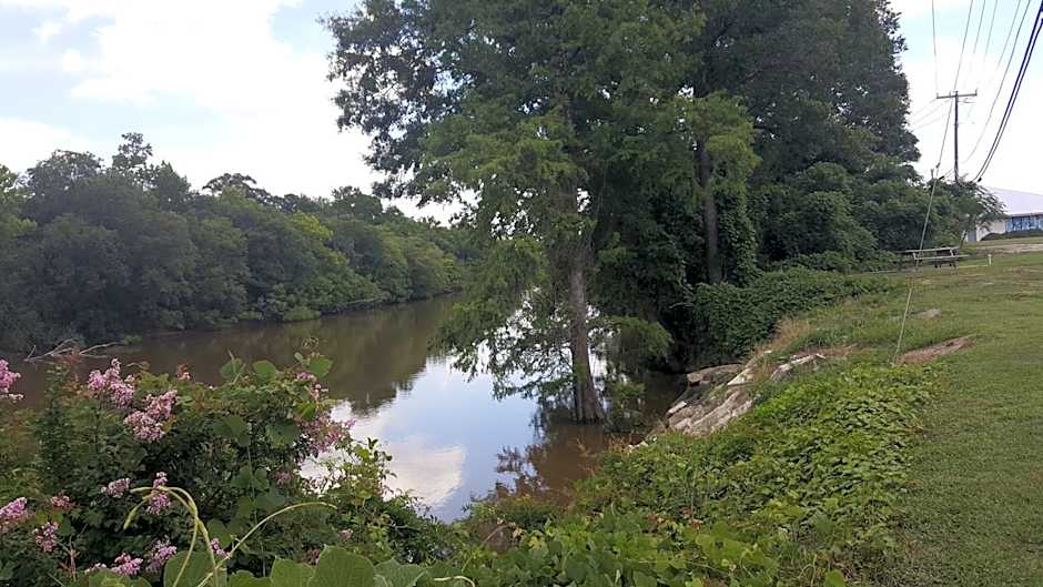 Red Carpet Inn Kinston