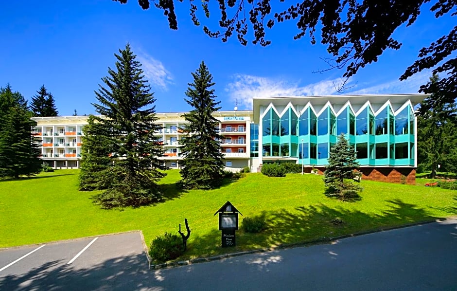 Interhotel Montana