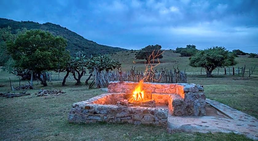 Kromrivier Farm Stays & B&B Near Addo Elephant Park