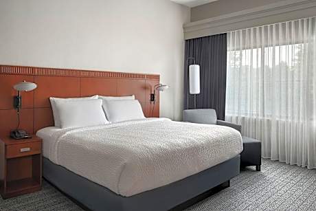 Suite, 1 Bedroom (1 King Bed and 1 Double Sofa Bed)