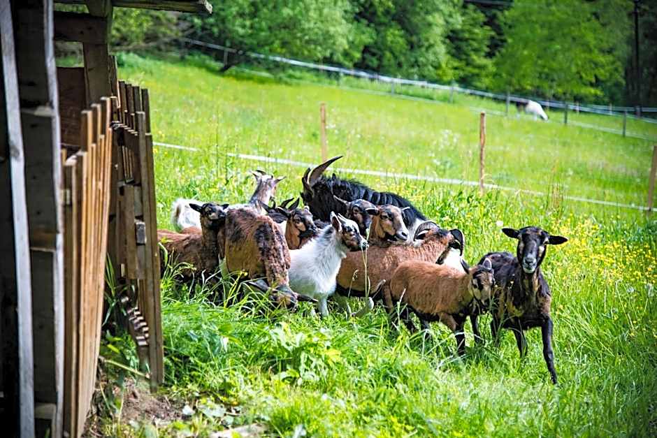 Wellness & Spa Hotel Čertov