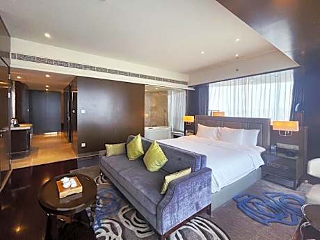 Superior King Suite with Living Area