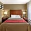 Comfort Inn Walcott