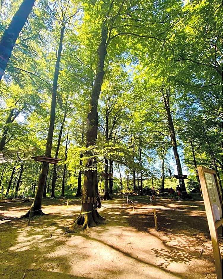 L'étape en forêt