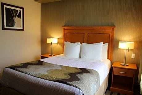 1 Queen Bed