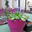 Green Class Hotel Astoria