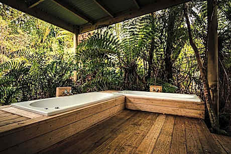 Franz Josef Treetops