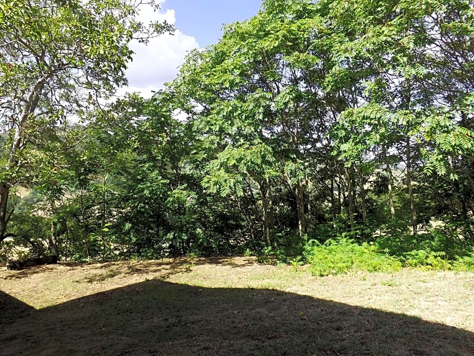 Piccolo Gesto d'Affetto