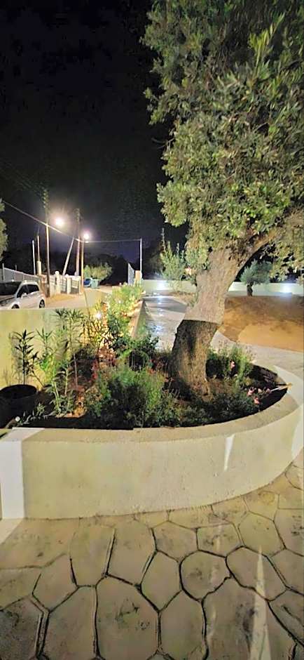 AIR-IN Rooms with magnificent views